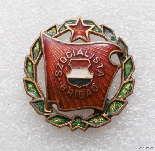 Значок Социалистическая бригада. Венгрия L-P05 #0334