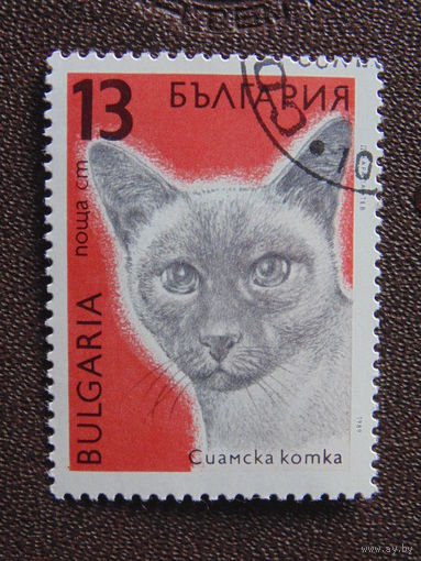 Болгария 1989 г. Сиамская кошка.