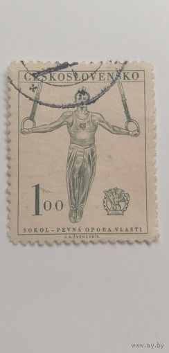 Чехословакия 1951. 9-й Конгресс. Спорт