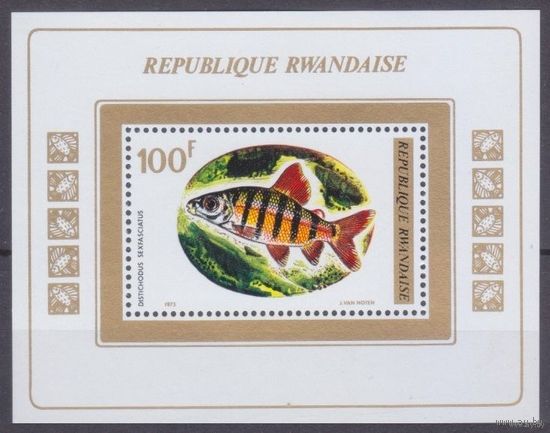 1973 Руанда 585/B33 Морская фауна рыбы  MNH