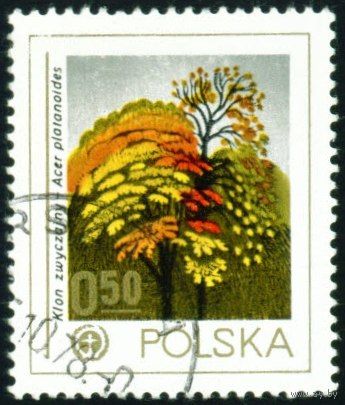 Охрана природы. Деревья Польша 1978 год 1 марка