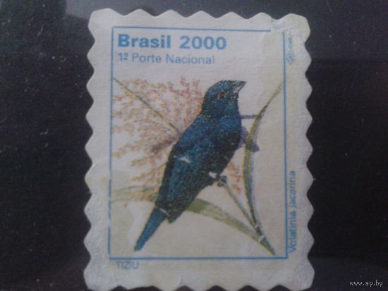 Бразилия 2000 Стандарт, птица Михель-5,0 евро