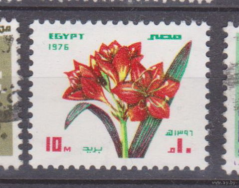 Цветы флора Египет 1976 год  лот 50 ПОЛНАЯ СЕРИЯ ЧИСТАЯ