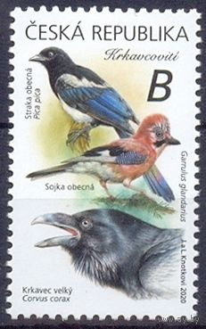 Чехия фауна птицы