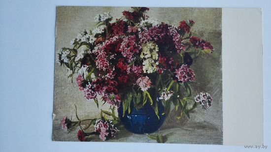 1953. цветы. Орлова. Гвоздики