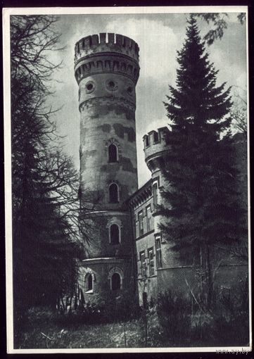 Литва Замок в Раудоне