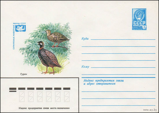 Художественный маркированный конверт СССР N 13483 (03.05.1979) Охраняемые животные фауны СССР  Турач