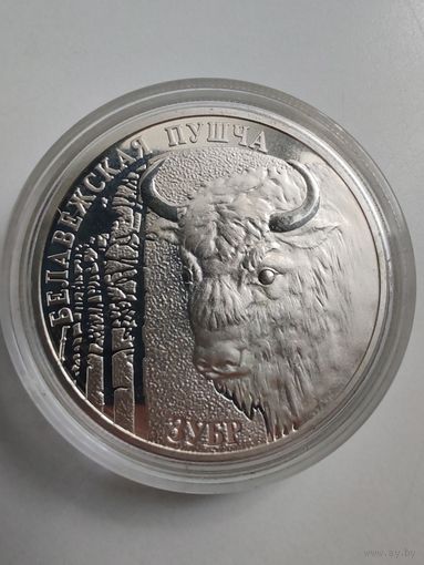 20 рублей зубр серебро