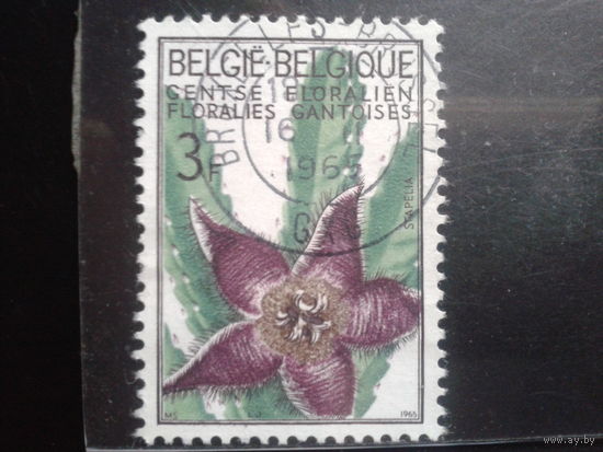 Бельгия 1965 Цветы, концевая