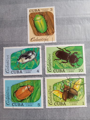 Куба 1988. Жуки