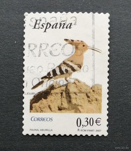 Испания 2007 Фауна - Птицы/ Евразийский удод