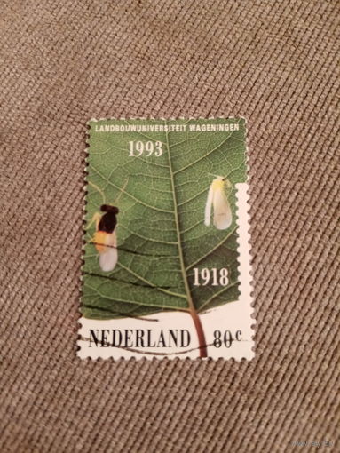 Нидерланды 1993. Мотыльки