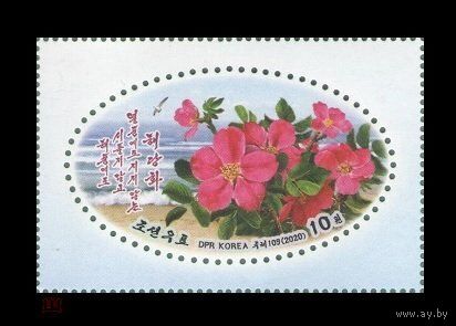2020 Северная Корея КНДР 6655 Цветы
