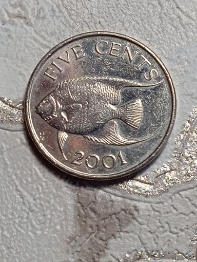Бермуды 5 центов 2001 года .