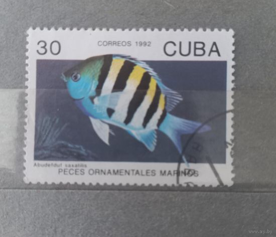 Куба. 1992г. Фауна.
