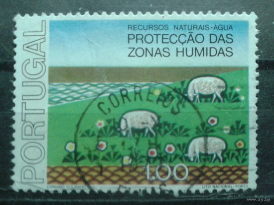 Португалия 1976 Природа, пастбище, овцы