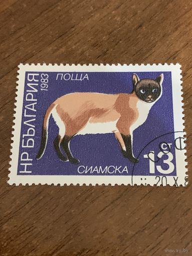 Болгария 1983. Породы кошек. Сиамская. Марка из серии