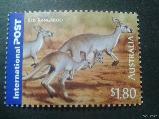 Австралия 2005 кенгуру