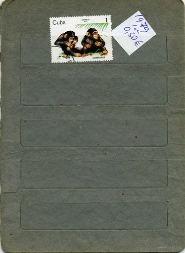 КУБА, 1979,ФАУНА ,  ПРИМАТЫ,    1м,  (справочно приведены номера и цены по Michel)
