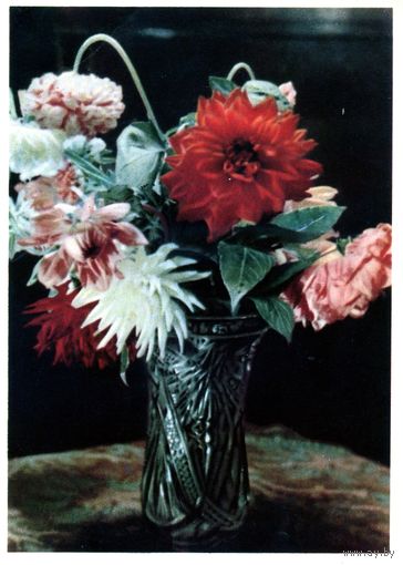Открытка, почтовая карточка, 1949,   Ваза с цветами,  изд "ИСКУССТВО"