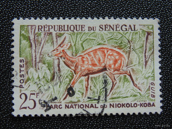 Сенегал. Фауна.