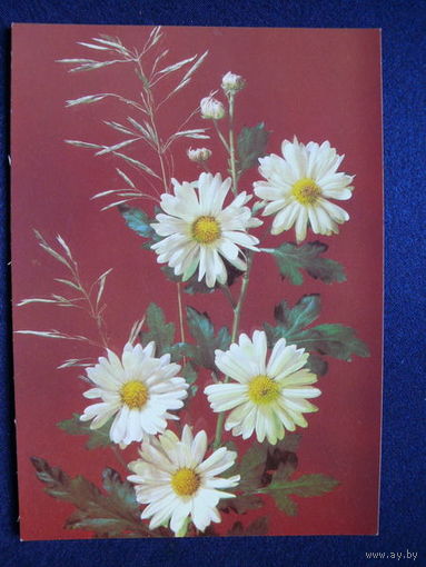 Цветы-1, 1989, фото Дергилева И, чистая.