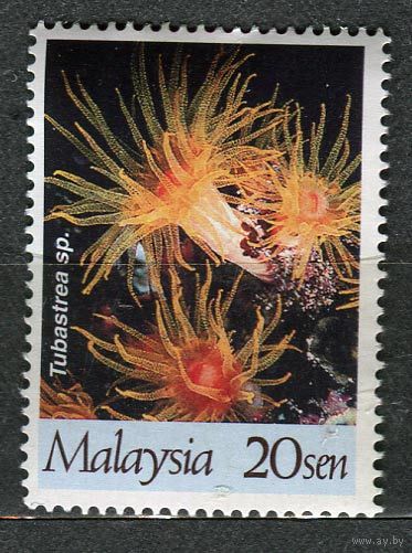 Кораллы. Малайзия. 1997. Чистая