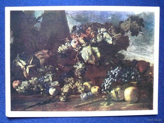 Микельанджело да Кампидолио, Натюрморт с виноградом, 60-е гг.