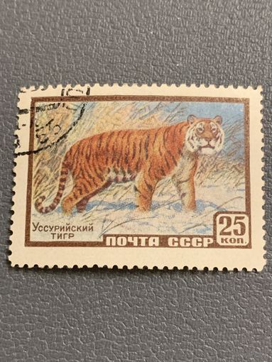 СССР 1959. Фауна. Тигр