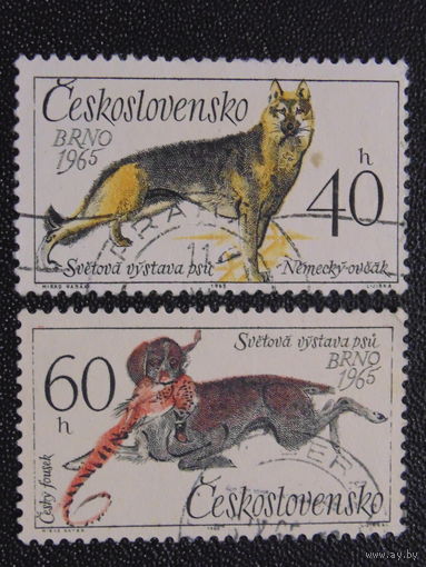 Чехословакия 1965 г. Всемирная выставка собак в Брно.
