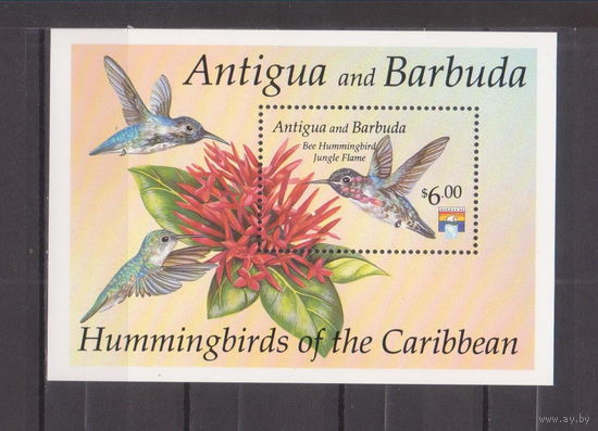 Антигуа и Барбуда 1992 фауна птицы колибри MNH