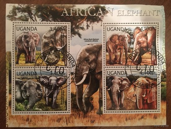 Уганда 2012. Африканские слоны (блок)