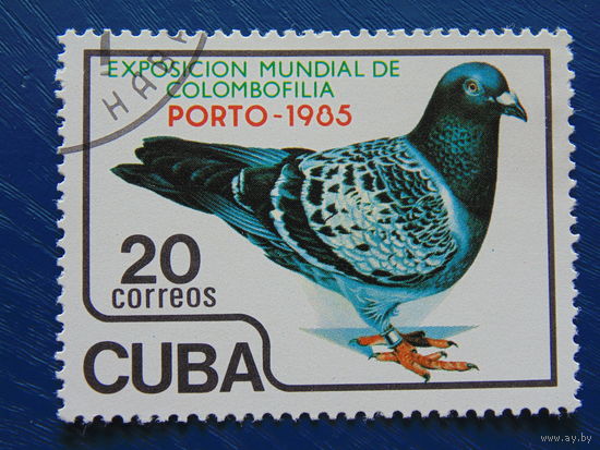 Куба 1985г. Голубь.