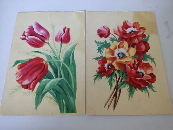 2 открытки художника  В.Зеленова " Тюльпаны" и "Маки"