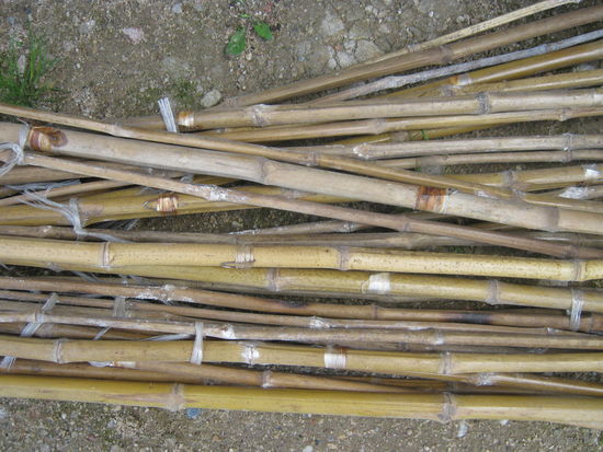 Только вчера-см. этикетку,купленные в "Охотнике  и рыболове" ОРИГИНАЛЬНЫЕ  бамбуковые  вьетнамские складные удочки!