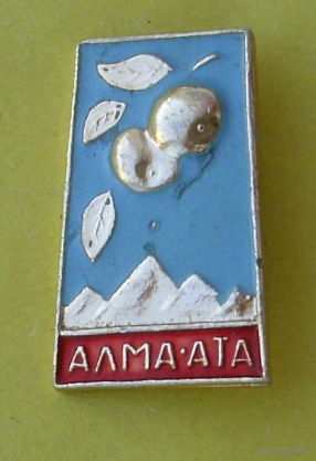 Алма - Ата. 236.