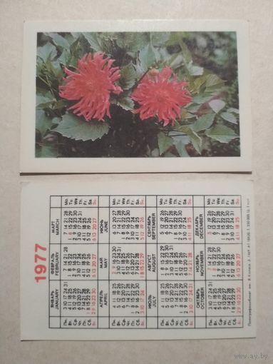 Карманный календарик. Цветы .1977 год