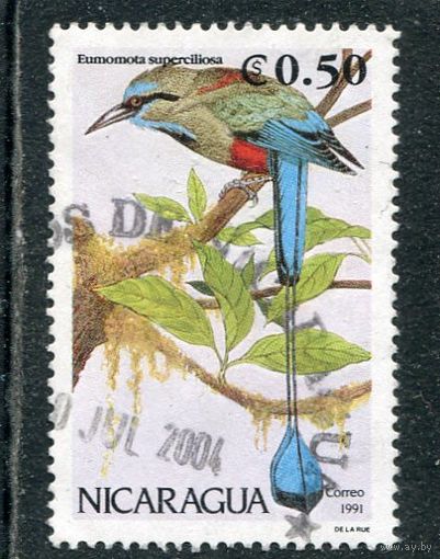 Никарагуа. Фауна. Птицы