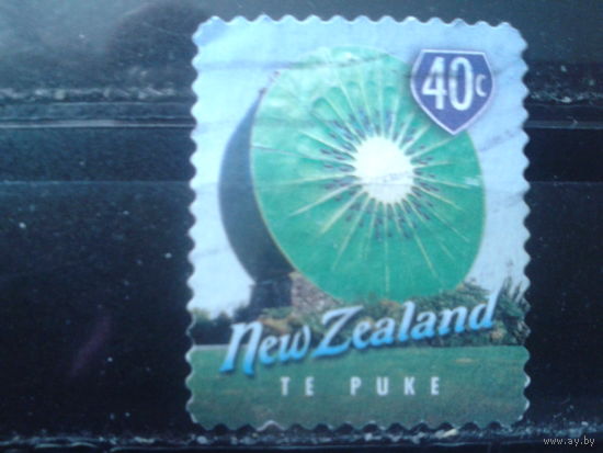 Новая Зеландия 1998 Киви в разрезе
