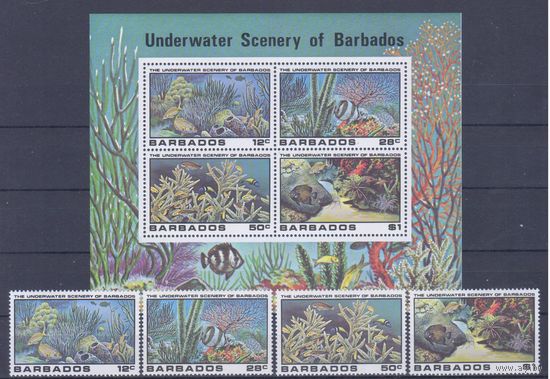 [1590] Барбадос 1980. Морская фауна. БЛОК+СЕРИЯ. MNH