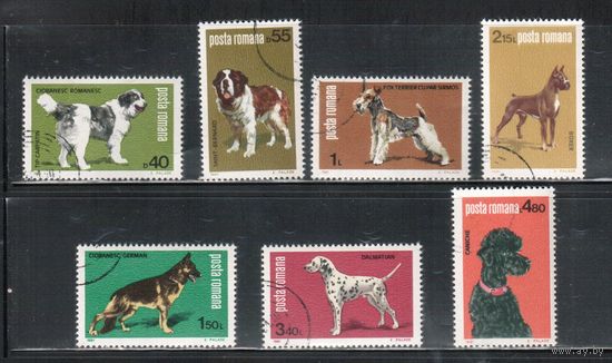 Румыния-1981, (Мих.3762-3768) гаш.  , Фауна, Собаки (полная серия)