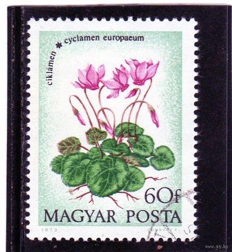 Венгрия.Mi:HU 2888A. Цикламена. Серия Цветы. 1973.