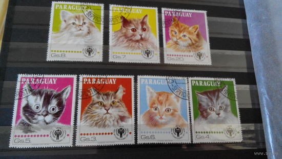 Кошки марки фауна Парагвай