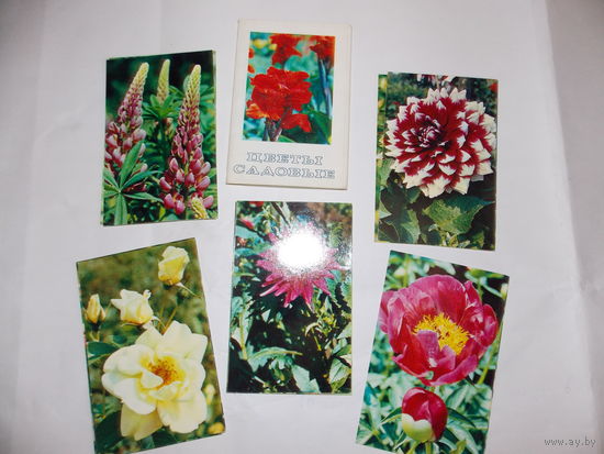 Комплект открыток СССР Цветы садовые