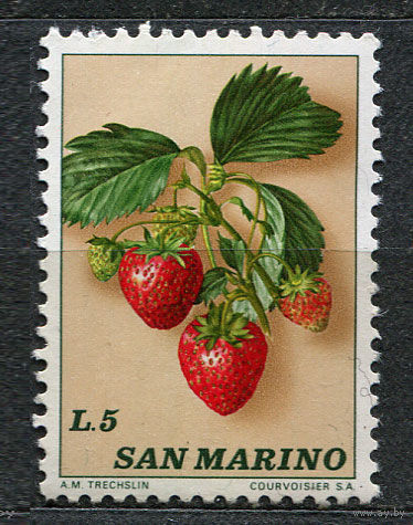 Клубника. Сан-Марино. 1973. Чистая