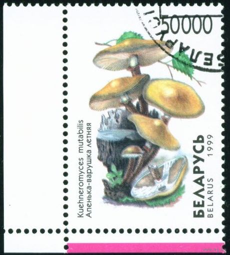 Грибы Беларусь 1999 год (342) 1 марка