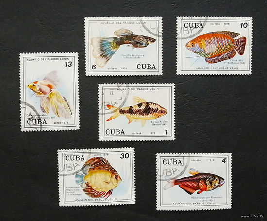 Куба 1978 г. Рыбы в аквариуме парка Ленина, Гавана. Фауна, полная серия из 6 марок #0127-Ф2P27