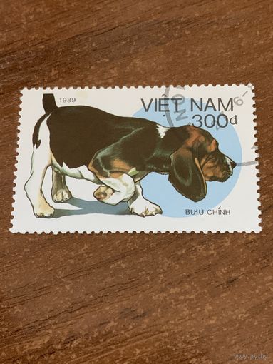 Вьетнам 1989. Породы охотничьих собак. Марка из серии