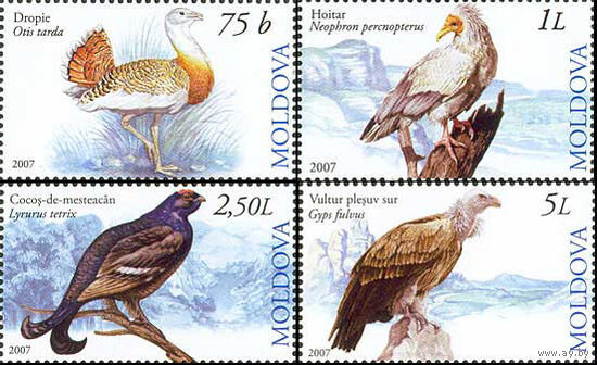 Исчезнувшие птицы Молдова 2007 год чистая серия из 4-х марок
