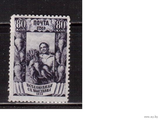 СССР-1939, (Заг.599(2))  * ,  лин., растр ВР, Сельхоз. выставка, Свекловодство